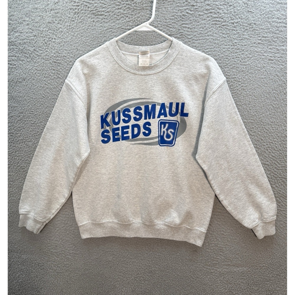 Vintage Gildan Sweatshirt Adult‎ Medium Gray Crewneck Workwear Grunge Skater Y2K